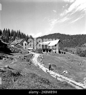 Flatdal in Telemark, August 1959. Fjellgården Ekre liegt 600 Meter über dem Meeresspiegel und in einem derart unwegsamen Gelände, dass "niemand denken würde, dass jemand es könnte BU". Th. Die kleine Autobahn, die die Familie gerade gebaut hat und die für den Betrieb der Landwirtschaft von großer Bedeutung sein wird. Foto: Aage Storløkken / Aktuell / NTB Stockfoto