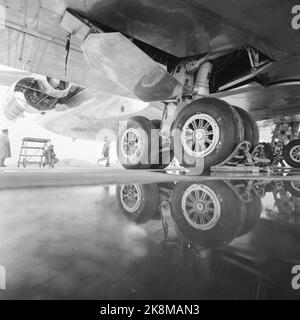 Toulouse, Frankreich 19580517 Hier wird SAS das neue Flugzeug Caravelle gebaut. Muss in der Lage sein, bis zu 70 Passagiere zu nehmen und eine Reisegeschwindigkeit von 800 km pro Tag haben. Stunde auf 12.000 Meter Höhe. SAS hat an erster Stelle sechs mit Präventivrechten für weitere 19 Maschinen bestellt. Bildunterschrift: Caravelle´n, der mittelgroße Jet SAS in Frankreich bestellt hat, braucht solide Untertanen. Die Räder sind eigentlich in Viererkörben auf beiden Seiten des Körpers unter den Flügeln. Unter der Nase befindet sich ein ähnliches System. Aber dann sollten sie 43 Tonnen tragen. Foto; Sverre A. Børretzen / Aktuell / NTB Stockfoto