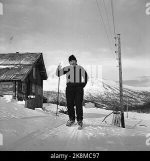 Argehovd nördlich von Møsvatn, Hardangervidda. März 1966. Åsmund Løvås (84) lebt und betreibt mit seinen beiden Söhnen den Hof Argehovd weit in Hardangervidda. Jagd und Fallenlassen gehören zu ihrem Alltag. Hier Åsmund Skifahren. Foto: Aage Storløkken / Aktuell / NTB Stockfoto