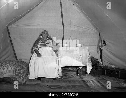 Hokksund 19590709 Alte Zigeunerin / Frau aus dem All Menschen in ihrem Zelt in einem Zigeunerlager in Hokksund. Foto: Knoblauch / NTB / NTB Stockfoto