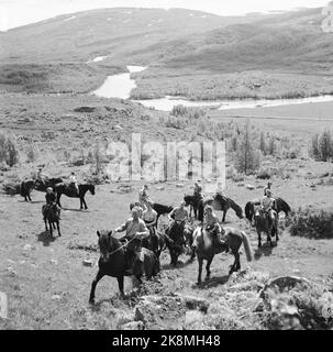 Hardangervidda 19560728 der Tourismusverband organisiert eine Reittour auf Hardangervidda für norwegische und englische Touristen, die noch nie zuvor auf einem Pferd gesessen haben. Weite, offene Ebenen mit glänzenden Gletschern auf den Berggipfeln. Zwischen Bjoreidalen und Raudhelleren konnten wir den hardanger-Witz im Norden glitzern sehen, während der Platz im Westen in einen blauen Dunst geheiligt wurde und für den klaren Himmel fast nicht sichtbar war. Schöne Reise in schöner Umgebung! Foto; Aage Storløkken / Aktuell / NTB Stockfoto