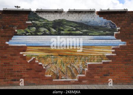 Ausschnitt aus Tennents Wandbild an der Außenwand der Tennent Caledonian Breweries von smug (Sam Bates) Glasgow Scotland Juli 2022 Stockfoto