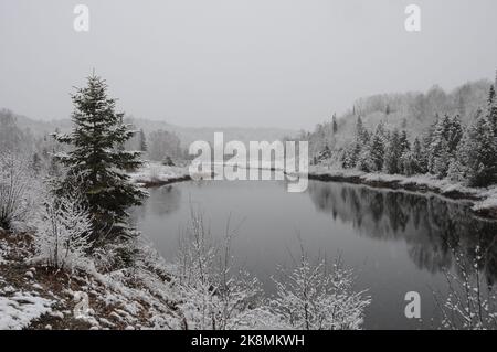 Winterlandschaft mit weißer Decke auf Bäumen, Fluss und einem grauen Himmel mit einem ruhigen Gefühl der Ruhe. Horizontales Foto. Weihnachten. Stockfoto