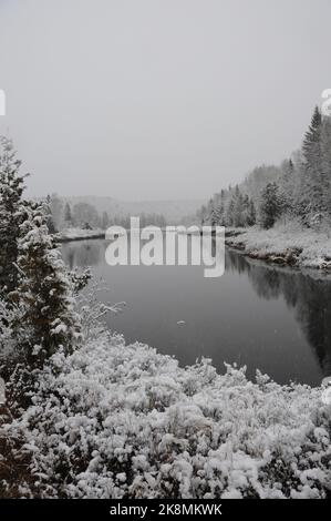 Winterlandschaft mit weißer Decke auf Bäumen, Ratteln, Fluss mit grauem Himmel und einem ruhigen Gefühl der Ruhe. Vertikales Foto. Stockfoto