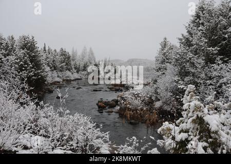 Winterlandschaft mit weißer Decke auf Bäumen, Fluss und einem grauen Himmel mit einem ruhigen Gefühl der Ruhe. Horizontales Foto. Stockfoto