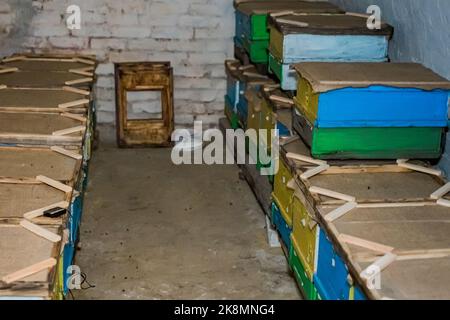 Omshanik (Winterhaus) im Bienenhaus, einem speziellen Raum für überwternde Bienen. Unterirdischer Raum mit Bienenstöcken. Stockfoto