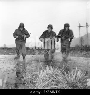 Vestfold 1952115. Die erste Militärübung in Norwegen in der Nachkriegszeit nahm an 30.000 Männern und 7.000 Fahrzeugen in der Übung 'Herbst' Teil Es war eine regnerische Übung. Zwischen den Regenfällen hing der Verschluss schwer in den Baumkronen, alles war durchnässt, grau, traurig und sauer. Die Vorladung kam aus Ostnorwegen, Sørlandet, Rogaland, Møre und Trøndelag. Hier sehen wir Soldaten mit Feuerwaffen, die während der Übung in Wasserteichen laufen. Foto: Sverre A. Børretzen / NTB Stockfoto