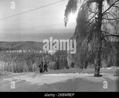 Aurskog 11 February 1956 'Diese Kinder haben 3 Meilen Schulstraße' die jungen Kinder Kjell aus Nybak, Hallvard aus Sinkerud und Marit aus Stenshaugen müssen 6 km allein durch den nächtlichen Schwarzwald laufen, bevor sie den Schulbus in Bekkesaga erreichen. Sie müssen um 5 Uhr aufstehen, um den Bus zu erreichen, der zur Haneborg-Schule in Aurskog fährt. Marit und Hallvard auf dem Heimweg von der Schule. Sie haben noch einen langen Weg vor sich, aber nirgendwo ist es so schön wie im Wald. Foto; Sverre A. Børretzen / Aktuell / NTB Stockfoto