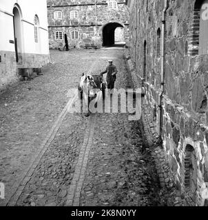 Halden 1961. 'Jungfrau in der Höhe' Festung Fredriksten in Halden. Die steilen Kampfpferde sind weg. Die Fjordpalette, die Sand in Zweirädern trägt, herrscht allein vor. Sein Besitzer, Arne Acurbekk, ist ein langes Leben lang Fahrer bei Fredriksten. Er hat unter 15 Kommandeuren gearbeitet. 1905 erraten er Kühe im Festungsgebiet, 10 Jahre alt. 300. Jubiläum 2. Mai 1961. Foto: Aage Storløkken / Aktuell / NTB Stockfoto