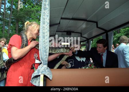 Kristiansand 19910627. - 1991. Juni. Die königliche Familie in Kristiansand. Besuch des Zoos. Hier grüßen sie einen Pythonschlauch, eine Tigergython. Kronprinz Haakon und Prinzessin Märtha Louise klatschen in die Schlange. Foto: Lise Åserud / NTB Stockfoto