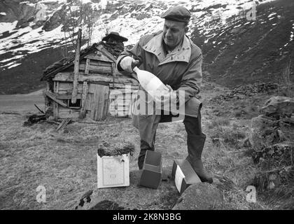 Matin 25. Mai 1963. Die gesamte norwegische Milch, die im vergangenen Jahr kontrolliert wurde, ist radioaktiv. Die nuklearen Explosionen über Novaja Semlja haben so viel radioaktiven Staub in der Atmosphäre ausgebreitet, dass er uns alle betrifft - jede Ausnahme ist noch nicht entdeckt worden. Wasserproben sollten überprüft werden. Hier wurde eine der Plastikflaschen mit Wasser aus einem Brunnen am Boden von Matredal gefüllt. Sie wird vom Manager Koren sorgfältig analysiert. Er hat auch eine Bodenprobe genommen. Foto: Ivar Aaserud / Aktuell / NTB Stockfoto