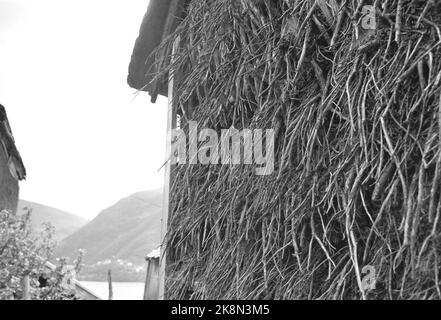 Osterøy 19680727. Havråtunet in Osterøy in Hordaland ist ein Hof, in dem die Vergangenheit noch lebt. Um das Jahr 1300 war Havråtunet ein gut etablierter Bauernhof. Hier ist das Bild der Außenwand von einem der Häuser. Foto: Sverre Børretzen Current / NTB Stockfoto