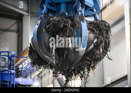 24. Oktober 2022, Sachsen-Anhalt, Bernburg: Ein Grabber transportiert den Grünabfall zur Weiterverarbeitung. Die MVV Energie AG baute in Bernburg eine Bioabfallfermentationsanlage. Abfälle aus den grünen Mülltonnen der Stadt Bernburg werden hier zu Biogas verarbeitet. Dieses wird dann als Ersatz für Erdgas in das Stadtwerke-Netz eingespeist. Diese umweltfreundliche Alternative zu Erdgas ist ein Beitrag zu einer klimafreundlichen Kreislaufwirtschaft. Foto: Heiko Rebsch/dpa Stockfoto