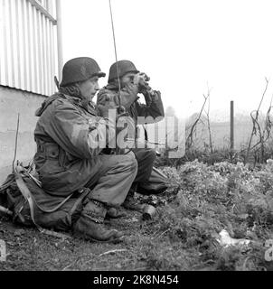 Vestfold 1952115. Die erste Militärübung in Norwegen in der Nachkriegszeit nahm an 30.000 Männern und 7.000 Fahrzeugen in der Übung 'Herbst' Teil Es war eine regnerische Übung. Zwischen den Regenfällen hing der Verschluss schwer in den Baumkronen, alles war durchnässt, grau, traurig und sauer. Die Vorladung kam aus Ostnorwegen, Sørlandet, Rogaland, Møre und Trøndelag. Hier sehen wir Soldaten mit Ferngläsern und Kommunikationszentren, die nach dem 'Feind' suchen. Foto: Sverre A. Børretzen / NTB Stockfoto