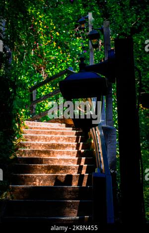 Eine senkrechte Aufnahme eines alten Laternenpfostens hing an einem Holzpfahl, der von grünen Pflanzen umgeben war, mit einer Treppe im Hintergrund Stockfoto