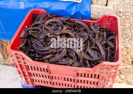 Johannisbrot. Gesunde organische süße Johannisbrot Schoten und Samen auf weißem Holz- Hintergrund Nahaufnahme. Stockfoto