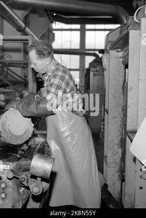 Skien 19590725 „Norwegens größte und schnellste Papiermaschine“. Zellulose, Zellstoff und Papier werden jetzt im alten Kloster hergestellt. Hier ist Union Bruk, eine der sieben Fabriken der großen Union Group, Norwegens größter Papierhersteller. In einer halben Stunde sind 6 Tonnen Zeitungspapier fertig. Vom Zellstoff in die Maschine gelangt und bis das Papier herauskommt, dauert es eine halbe Minute. Höchstgeschwindigkeit: 45 km pro Stunde. Foto: Aage Storløkken / Aktuell / NTB Stockfoto