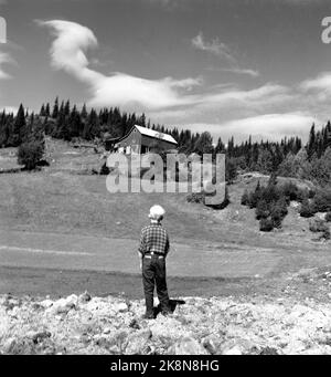 Flatdal in Telemark, August 1959. Fjellgården Ekre liegt 600 Meter über dem Meeresspiegel und in einem derart unwegsamen Gelände, dass "niemand denken würde, dass jemand es könnte BU". Hier ist der jüngste Sohn Bjarne (7) und schaut auf die Farm. Foto: Aage Storløkken / Aktuell / NTB Stockfoto