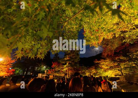 Kyoto, 15 2013. NOVEMBER - nächtliche Herbstlandschaft im Zenrin-ji-Tempel Stockfoto