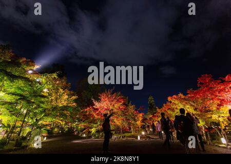 Kyoto, 15 2013. NOVEMBER - nächtliche Herbstlandschaft im Zenrin-ji-Tempel Stockfoto