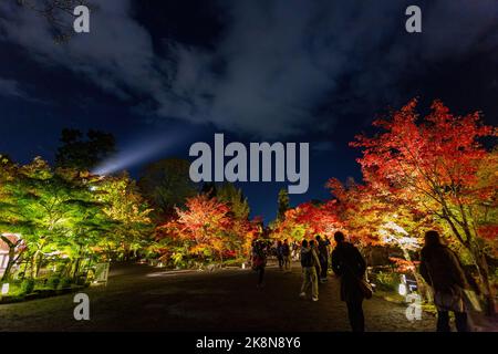 Kyoto, 15 2013. NOVEMBER - nächtliche Herbstlandschaft im Zenrin-ji-Tempel Stockfoto