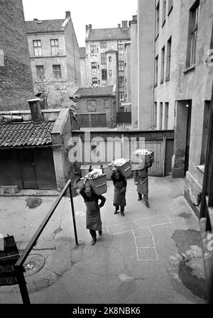 Oslo im Herbst 1965. Oslo Cleaning Work hat 104 Müllwagen, und Reinigungskräfte leeren zwei- bis dreimal pro Woche 70.000 Mülltonnen, das sind fast 90.000 Tonnen Haushaltsmüll pro Jahr. Davon sind 10-12 Tonnen Lebensmittelrückstände, und ein nicht unbedeutender Teil sind gefährliche Abfälle. Hier sind drei der Müllmänner, die sie gerne genannt werden, auf dem Weg zum Auto mit jeder der alten Kisten. Sie müssen bis zum Auto getragen und der Abfall mit der Hand geleert werden. Foto: Sverre A Børretzen / Aktuell / NTB. Physical Lok: Aktuelle Nr. 47 1965: 'Im ewigen Kampf gegen Müll'. Stockfoto