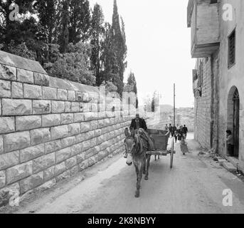 Israel March 1958 "am 14. Mai vor 10 Jahren wurde Israel zu einem unabhängigen Staat erklärt. Innerhalb weniger Stunden war der junge Staat mit seinen arabischen Nachbarn im Kampf um Leben und Tod, überlebte aber. Seitdem hat es mehr oder weniger Waffenstellung gegeben, und in diesen 10 Jahren wird eine neue Gesellschaft von der Erde aufgestampft. ' Photo; Sverre A. Børretzen / Current / NTB Stockfoto