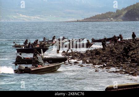 Molde 28. April 1990. Die Verteidigung zeigt seine Kampfkraft während des Besuchs von König Olav in Molde, wo er auch die königliche Birke besuchte, wo er vor fünfzig Jahren bei einem deutschen Luftangriff auf Molde mit seinem Vater, König Haakon 7, stand. Foto: Bjørn Owe Holmberg / NTB / NTB Stockfoto