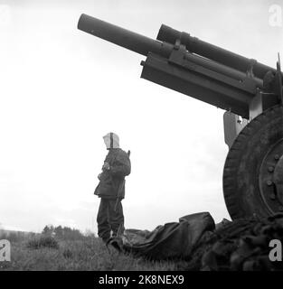 Vestfold 1952115. Die erste Militärübung in Norwegen in der Nachkriegszeit nahm an 30.000 Männern und 7.000 Fahrzeugen in der Übung 'Herbst' Teil Es war eine regnerische Übung. Zwischen den Regenfällen hing der Verschluss schwer in den Baumkronen, alles war durchnässt, grau, traurig und sauer. Die Vorladung kam aus Ostnorwegen, Sørlandet, Rogaland, Møre und Trøndelag. Hier sehen wir einen Wagen und einen Soldaten, der wacht. Foto: Sverre A. Børretzen / NTB Stockfoto