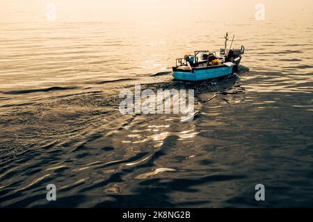 Ein kornischer Fischer segelt auf ruhigem Wasser in einem traditionellen Fischerboot auf seinem Weg zum Fang von Krabben und Hummer an der Küste von Cornwall Stockfoto