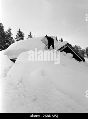 Südnorwegen, Februar 1951: Starker Schneefall über dem südlichen Teil des Landes verursachte wochenlang Chaos. Hier wird der Schnee vom Dach des Nebengebäudes bei Mjaavatten Pensjonat auf Vegårdshei abgesetzt. Die Schneemobile sind fast gleichmäßig mit dem Dach des Hauses. Foto: Arne Kjus / Aktuell / NTB Stockfoto