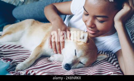 Schöne Shibe inu Welpen genießt Liebe und Pflege, während seine zarte Besitzer attraktive afroamerikanische Mädchen streichelt es mit Zärtlichkeit auf ihr entzückendes Haustier. Stockfoto