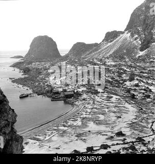 Lofoten, Winter 1951. Mehrere Fischerdörfer in Lofoten werden geräumt, weil sie ohne Strom, Straßen-, Kais- und Telefonanschluss nicht betrieben werden können. An einigen Orten haben die Gemeinden beantragt, Geld vom Staat zu bewegen, um die Häuser und die gesamte Bevölkerung - wie hier in Refsvik - außerhalb von Lofotodden zu verlegen. Das Übersichtsbild zeigt unter anderem. Die kleinen Bodenflecken, die ein Dutzend Kühe und rund 100 Schafe zur Welt brachten. Die meisten der Bauernhäuser wurden nun abgeschlagen und nach Sørvågen verlegt. Foto: Sverre A. Børretzen / Aktuell / NTB Stockfoto