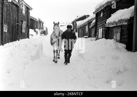 Røros März 1968 Aufnahme des Films über Pippi Langstrumpf aus den Büchern von Mastrid Lindgren. Pippi wird von Inger Nilsson gespielt. Pippis Pferdebündel ist ein Halbblutpferd, auf dem braune Flecken gemalt sind. Foto: Aage Storløkken / Aktuell / NTB Stockfoto