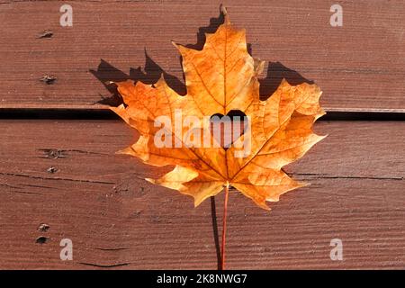 Farbige Herbstblätter auf gebeiztem Deckholz Stockfoto