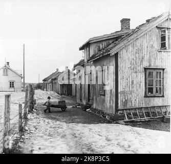 Lofoten im Winter 1951. Mehrere Fischerdörfer in Lofoten werden geräumt, weil sie ohne Strom, Straßen-, Kais- und Telefonanschluss nicht betrieben werden können. An einigen Orten haben die Gemeinden beantragt, Geld vom Staat zu bewegen, um die gesamte Bevölkerung einschließlich der Wohnhäuser zu bewegen. Hier von Eggum, wo die fünf Häuser Th. Muss verschoben werden, denn der Pier an der Stelle bricht die Wellen und schickt das Meer zu den Häusern, wenn es aus dem Südwesten stürmt. Kinder mit Schubkarren. Foto: Sverre A. Børretzen / Aktuell / NTB Stockfoto