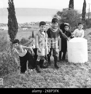 Israel March 1958 "am 14. Mai vor 10 Jahren wurde Israel zu einem unabhängigen Staat erklärt. Innerhalb weniger Stunden war der junge Staat mit seinen arabischen Nachbarn im Kampf um Leben und Tod, überlebte aber. Seitdem hat es mehr oder weniger Waffenstellung gegeben, und in diesen 10 Jahren wird eine neue Gesellschaft von der Erde aufgestampft. ' Photo; Sverre A. Børretzen / Current / NTB Stockfoto