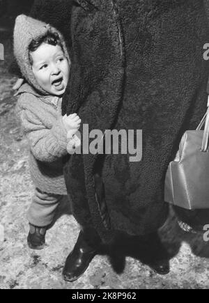 Oslo 195412 - Kinder treffen den Weihnachtsmann. Das kleine Mädchen hat Angst vor dem Zwerg. Versteckt hinter ihrer Mutter. Bleibt im Mantel stecken. Skeptisch. Foto: Aage Storløkken / Aktuell / NTB Stockfoto