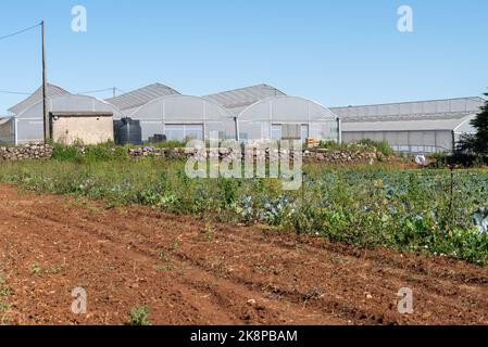 Eine Luftaufnahme von landwirtschaftlichen Flächen und landwirtschaftlichen Gewächshäusern im Hintergrund Stockfoto