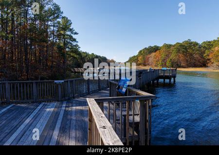 Der Aussichtspier am Virginia Aquarium & Marine Science Center mit Herbstbäumen im Hintergrund Stockfoto