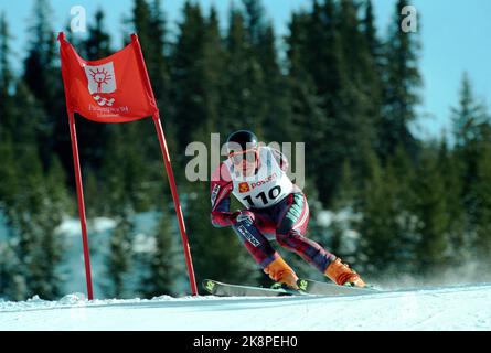 Lillehammer 19940314 Paralympics-94 / Olympische Spiele für Behinderte / Behindertensport. Hier alpin, Cato Zahl Pedersen in Aktion in Super-G. Foto: Aleksander Nordahl / NTB / NTB Stockfoto