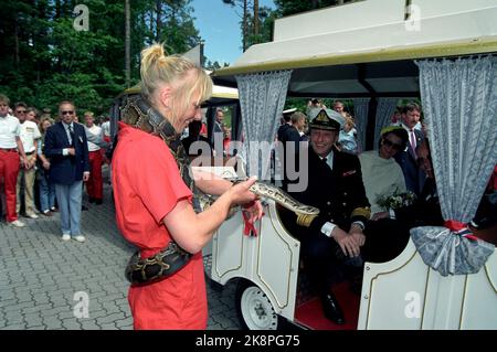 Kristiansand 19910627. - 1991. Juni. Die königliche Familie in Kristiansand. Besuch des Zoos. Hier schaut König Harald lächelnd auf einen Pythonschlauch, Tiger Python. Foto: Lise Åserud / NTB Stockfoto