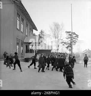 Aurskog 11 February 1956 'Diese Kinder haben 3 Meilen Schulstraße' die jungen Kinder Kjell aus Nybak, Hallvard aus Sinkerud und Marit aus Stenshaugen müssen 6 km allein durch den nächtlichen Schwarzwald laufen, bevor sie den Schulbus in Bekkesaga erreichen. Sie müssen um 5 Uhr aufstehen, um den Bus zu erreichen, der zur Haneborg-Schule in Aurskog fährt. 106 Kinder aus Aurskog besuchen die Schule in Haneborg, von denen keine mit den langen Distanzen völlig unbekannt ist. Foto; Sverre A. Børretzen / Aktuell / NTB Stockfoto