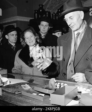 Moskau Russland 1955. Werna Gerhardsen und Einar Gerhardsen in Moskau an der Spitze einer norwegischen Delegation, um die Möglichkeiten für ein erweitertes Handelsabkommen zu diskutieren. Hier Gerhardsen auf einer Shoppingtour in Moskau. Gerhardsen kauft geschnitzte Holzfigur vom russischen Bären. Foto: Aage Storløkken / Aktuell / NTB Stockfoto