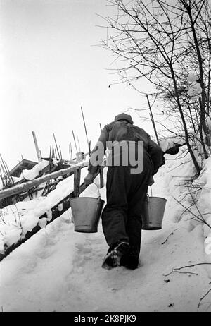 Hedmark im Winter 1948. Wasserknappheit in Ostnorwegen nach der Dürre im Sommer 1947. Die Betriebe müssen Wasser in den Flüssen holen oder Wasser aus den Molkereien fließen lassen. Hier Torbjørn Pedersen vom kleinen Platz Fiskefoss in Vang. Er holt Wasser aus einem kleinen Fluss in der Nähe und trägt die Wassereimer das steile Knie hinauf zur Farm. Foto: Børretzen / Aktuell / NTB Stockfoto