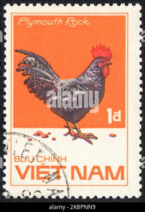 Eine in VIETNAM gedruckte Briefmarke zeigt Plymouth Rock Hahn, aus der Serie Chicken Rassees, um 1986 Stockfoto