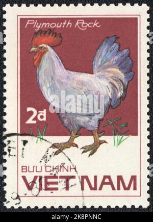 Eine in VIETNAM gedruckte Briefmarke zeigt einen weißen Plymouth Rock Hahn aus der Serie Chicken Rasses, um 1986 Stockfoto