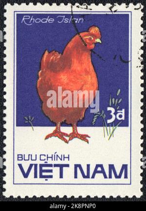 Eine in VIETNAM gedruckte Marke zeigt Rhode Island Red Henne aus der Serie Chicken Rassees, um 1985 Stockfoto