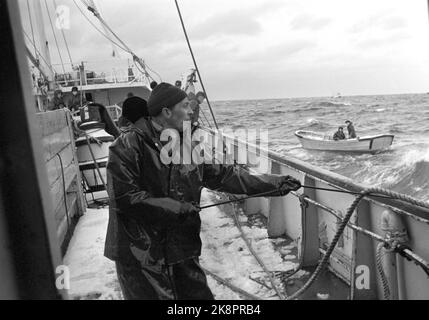 19690322. 'Das schwärzeste Heringsjahr'. Das Ergebnis der diesjährigen Winterheringfischerei ist das schlimmste, das wir in diesem Jahrhundert hatten. Aber nicht nur die natürliche Basis, der Hering, ist gescheitert. Die Entwicklung der Heringflotte hat ohne Ziele und Management stattgefunden. Wenn sich diese Entwicklung fortsetzt, werden einige dieser Boote in kurzer Zeit unter den Auktionshammer kommen. Der Angelskate 'Jøkul' mit zwölf Männern steht auf dem Meer nördlich von Kristiansund und wartet auf den großen Hering. Foto: Sverre A. Børretzen / NTB Stockfoto