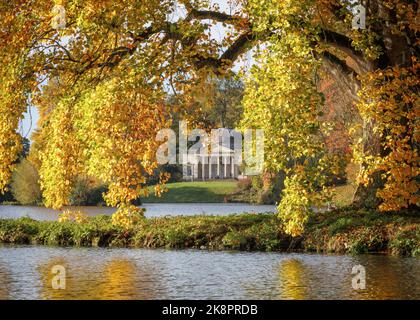 24.. Oktober 2022, Stourhead Landscape Garden, Wiltshire wunderschöne Herbstfarben sind in einem der malerischsten Landschaftsgärten der Welt zu sehen. Ein riesiger, altgedienter Tulpenbaum (Liriodendron tulipifera) spiegelt sich im Wasser des Sees wider und umrahmt das Pantheon darüber hinaus - nach dem Vorbild der antiken griechischen Architektur das Pantheon ist ein Tempel der Götter, der 1753 erbaut wurde.Quelle: Casper Farrell/Alamy News Stockfoto